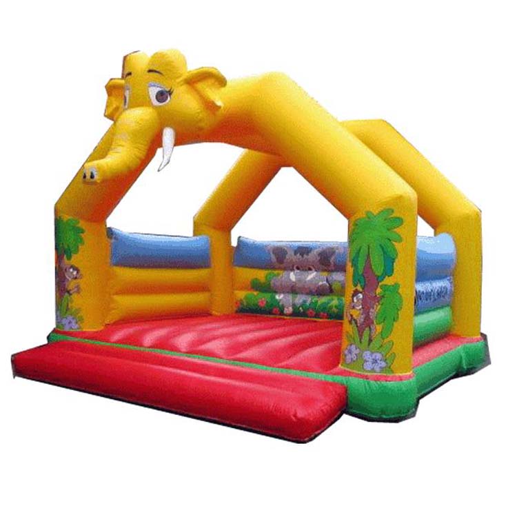 Inflatable Bounce FLBO-10027