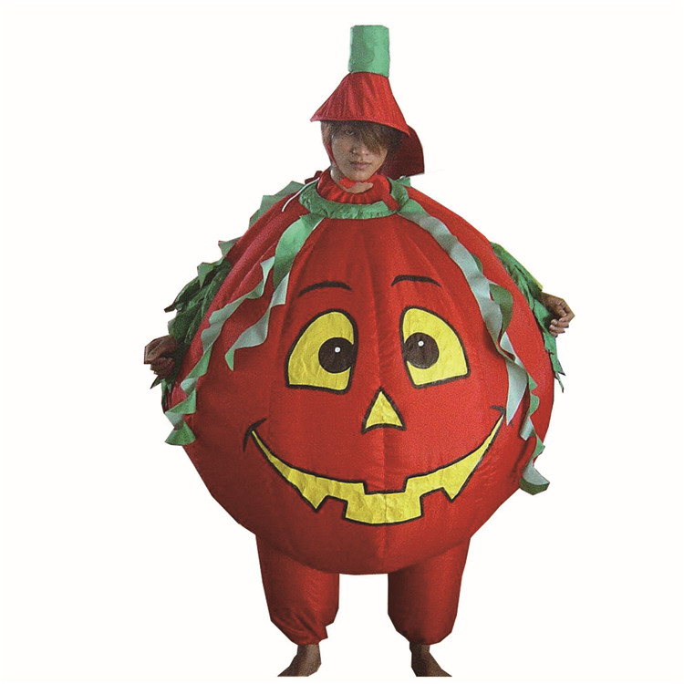 Inflatables Costume CO-10028